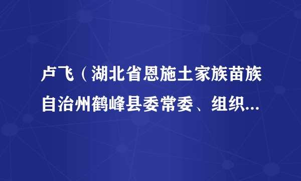 卢飞（湖北省恩施土家族苗族自治州鹤峰县委常委、组织部部长）