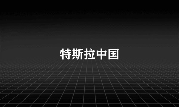 特斯拉中国