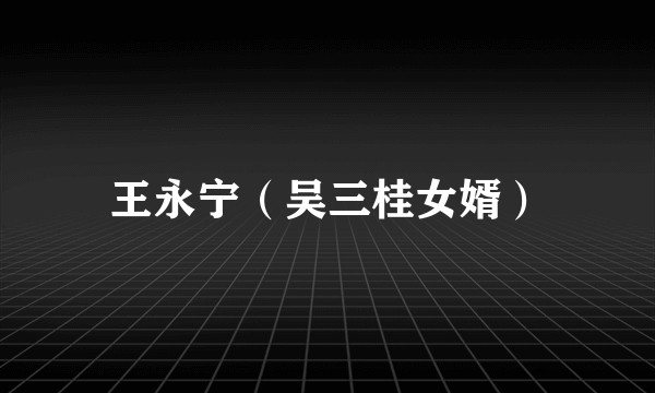 王永宁（吴三桂女婿）