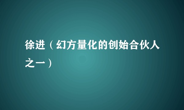 徐进（幻方量化的创始合伙人之一）