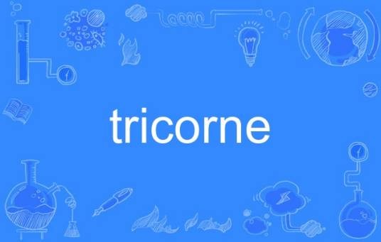 tricorne