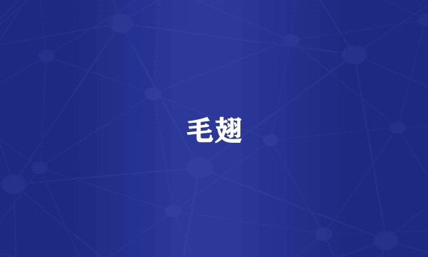 毛翅