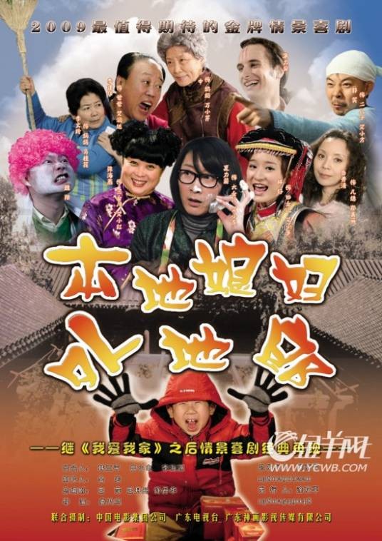 本地媳妇外地郎（2009年娄乃鸣执导的电视剧）