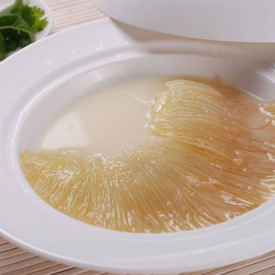 生鱼翅