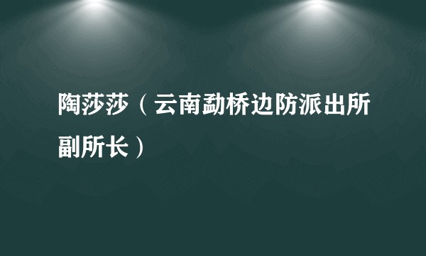 陶莎莎（云南勐桥边防派出所副所长）
