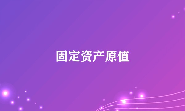 固定资产原值