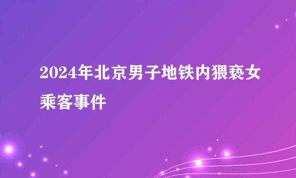 2024年北京男子地铁内猥亵女乘客事件