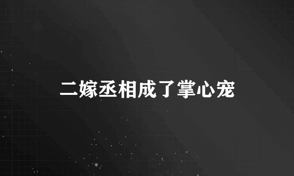 二嫁丞相成了掌心宠
