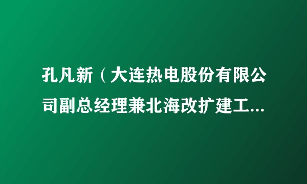 孔凡新（大连热电股份有限公司副总经理兼北海改扩建工程指挥部副总指挥）