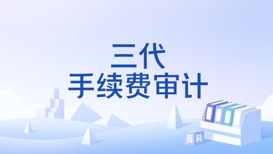 三代手续费审计