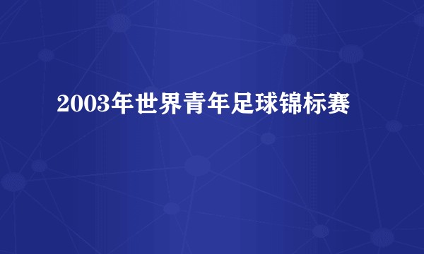 2003年世界青年足球锦标赛