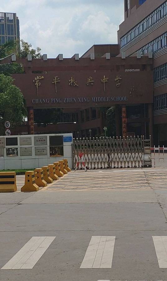 东莞市常平镇振兴中学