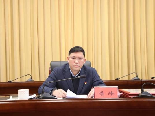 黄峰（广西壮族自治区桂林市灌阳县委副书记、县人民政府副县长、代理县长）