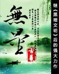 无量（古羲创作的玄幻类网络小说）