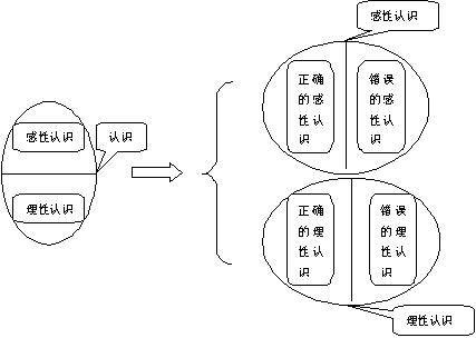 理性认识