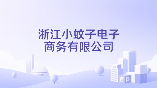 浙江小蚊子电子商务有限公司