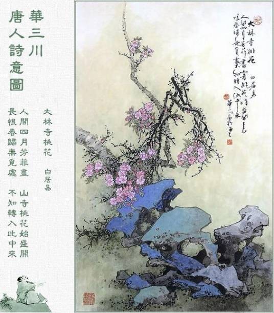 大林寺桃花(唐代白居易诗作)
