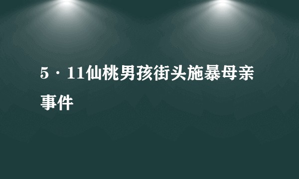 5·11仙桃男孩街头施暴母亲事件