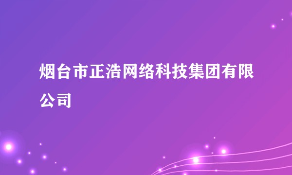 烟台市正浩网络科技集团有限公司