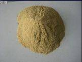 啤酒酵母粉