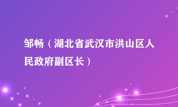 邹畅（湖北省武汉市洪山区人民政府副区长）