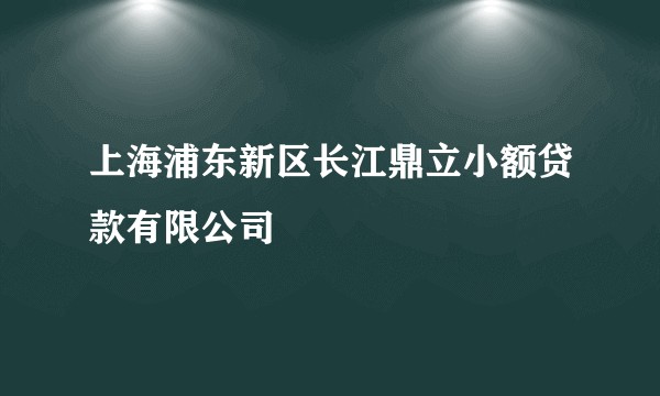上海浦东新区长江鼎立小额贷款有限公司