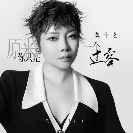 原来你只是一个过客（魏佳艺演唱的歌曲）