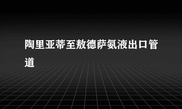 陶里亚蒂至敖德萨氨液出口管道