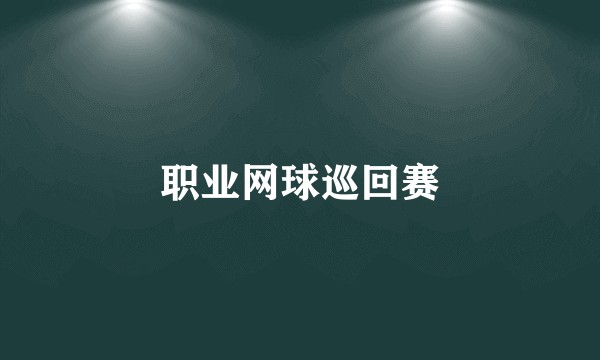 职业网球巡回赛