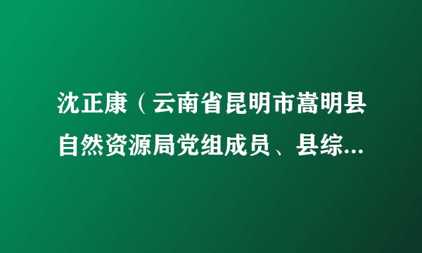 沈正康（云南省昆明市嵩明县自然资源局党组成员、县综合行政执法局执法二大队队长）