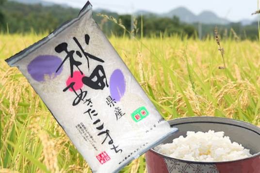 秋田小町