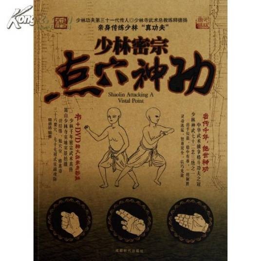 少林密宗点穴神功