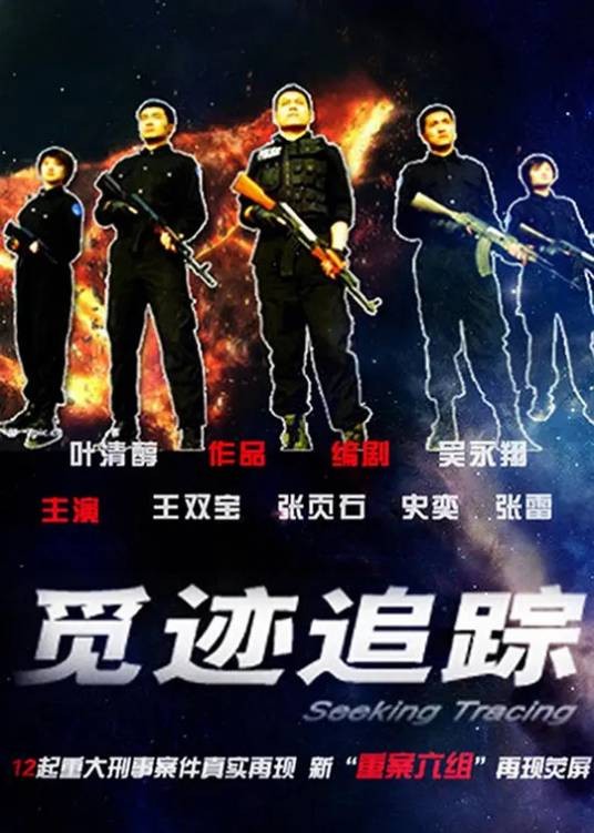 觅迹追踪（2009年叶清醇、王硕执导的犯罪剧）