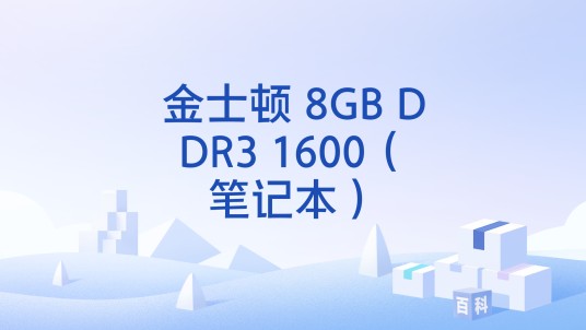 金士顿 8GB DDR3 1600（笔记本）