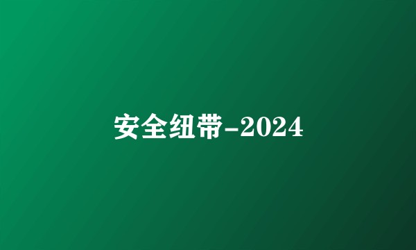 安全纽带-2024