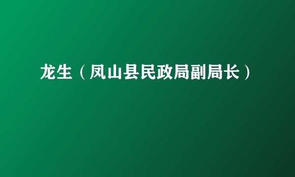 龙生（凤山县民政局副局长）