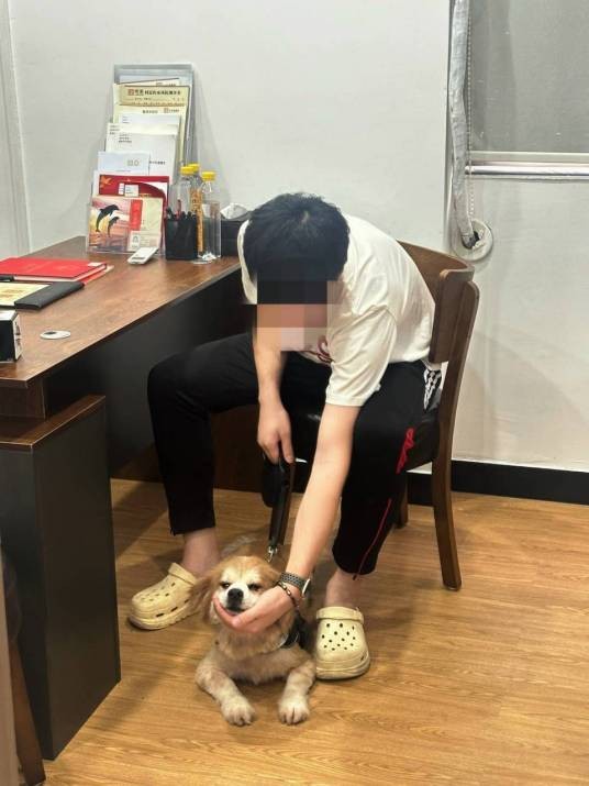 2025年广州女子立遗嘱给宠物狗事件