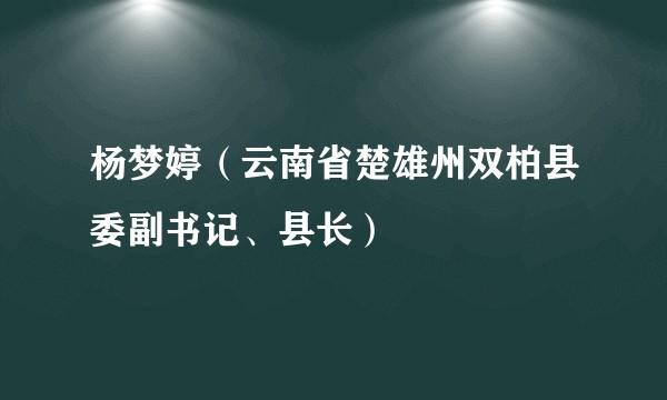 杨梦婷（云南省楚雄州双柏县委副书记、县长）