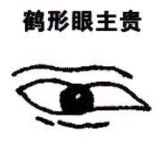 鹤眼