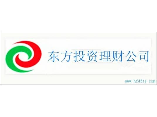 东方投资理财公司