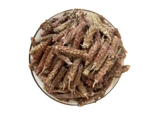 夏枯球（中药）
