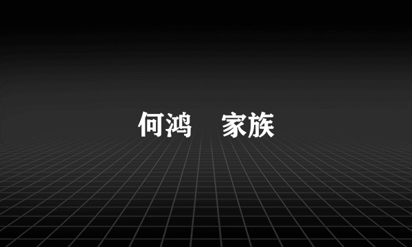 何鸿燊家族
