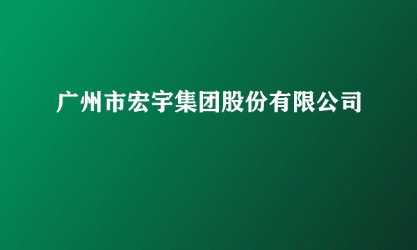 广州市宏宇集团股份有限公司