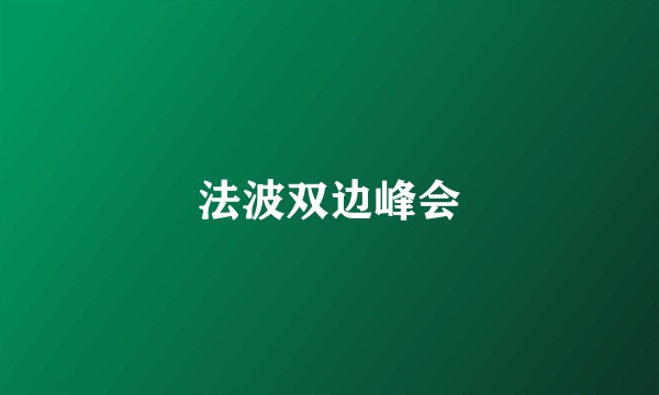 法波双边峰会