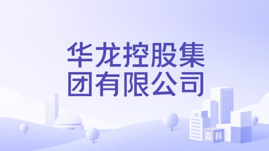 华龙控股集团有限公司