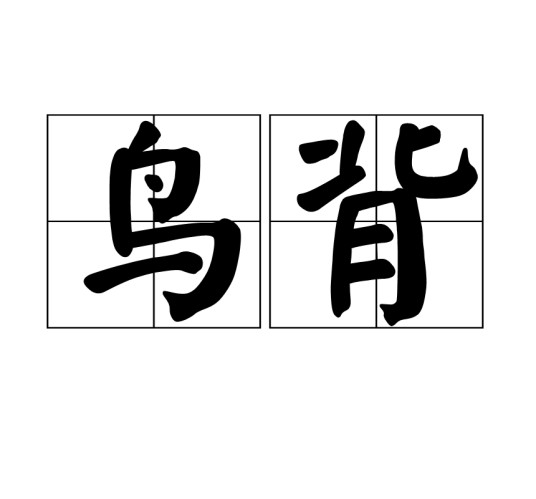 鸟背