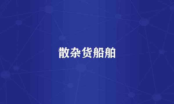 散杂货船舶