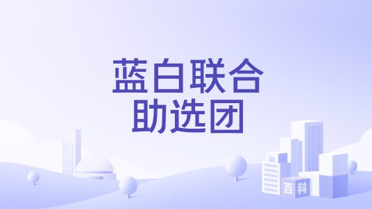 蓝白联合助选团