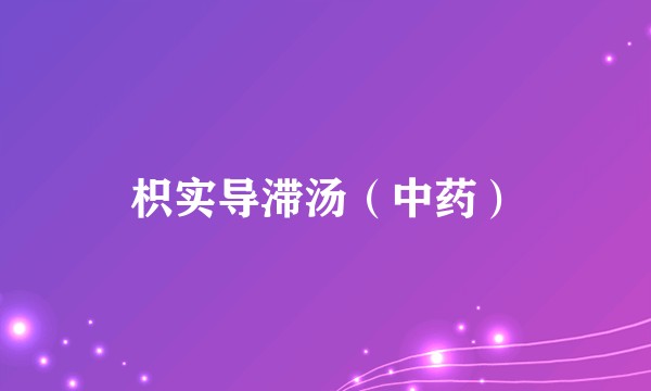 枳实导滞汤（中药）