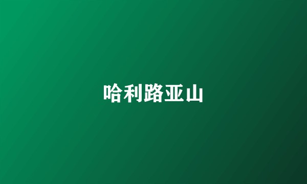 哈利路亚山